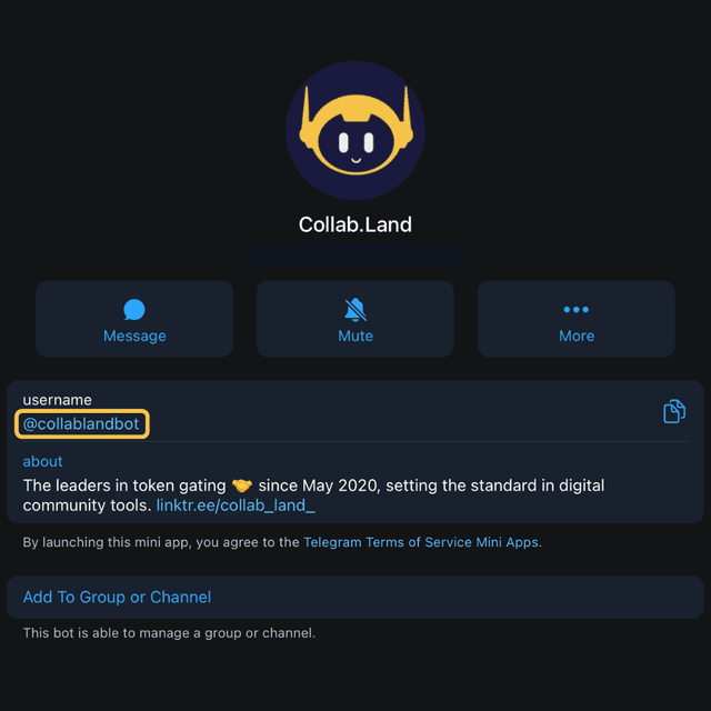 Telegram Bot Information